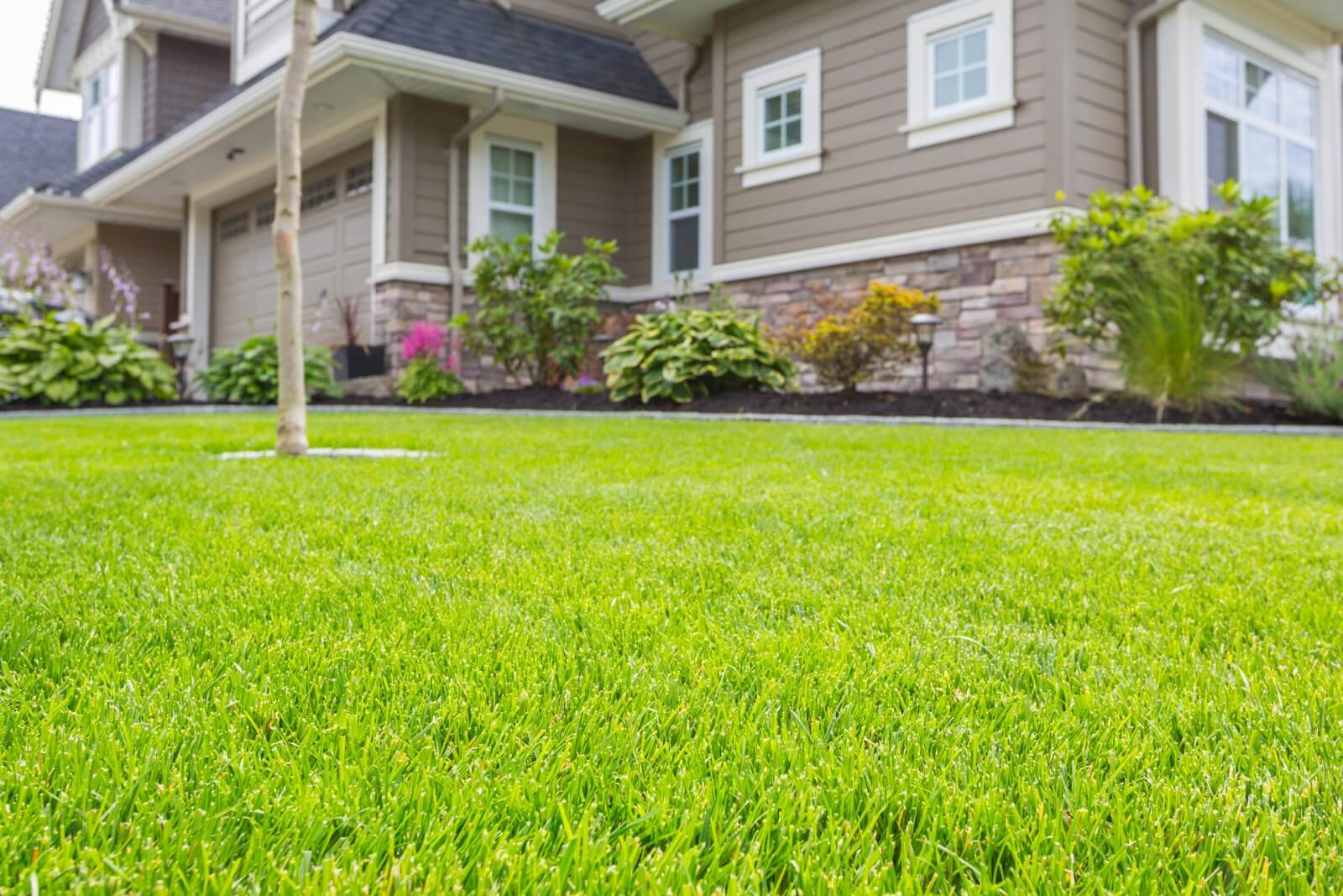 Yard Deodorizing in Fairifield County CT