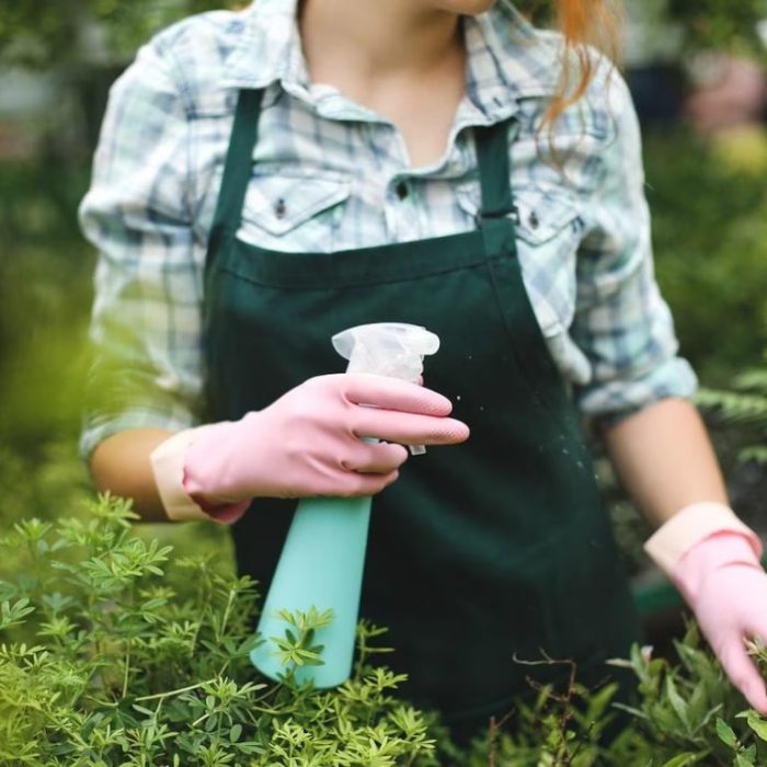 Pooper Scooper Service in Fairfield County CT